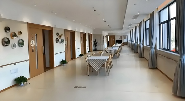 大学毕业办理深圳户口_年终述职报告｜檀健次分享年度最过瘾舞台 城际一辆野猪撞上快车